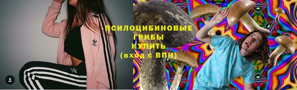 гашик Новокубанск