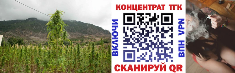 ТГК гашишное масло  купить   Хотьково 