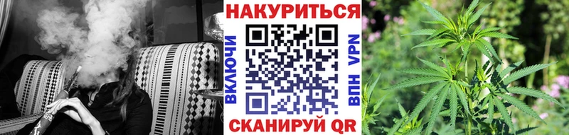 Канабис сатива  закладка  Хотьково 